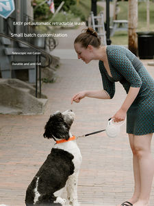 Vendita calda nuovo stile ad alta tensione luce automatica riflettente esterna guinzaglio cane personalizzato per cani - Product Image 6