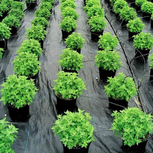 Toile anti-mauvaises herbes agricole épaisse et résistante à l'usure, barrière anti-mauvaises herbes, tapis anti-mauvaises herbes pour les plantes de fraises, verger et jardin de thé - Product Image 3