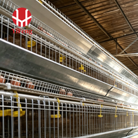 Cage à poules pondeuses de type A à 4 niveaux avec système d'alimentation et d'abreuvement automatique, courroie de fumier, collecte d'œufs CE, en acier galvanisé