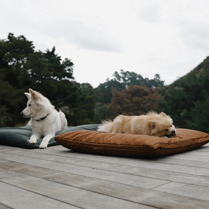 Colchón de lujo moderno personalizado para mascotas, cama para interior y exterior, impermeable, transpirable, cojín de viaje para perros - Product Image 1