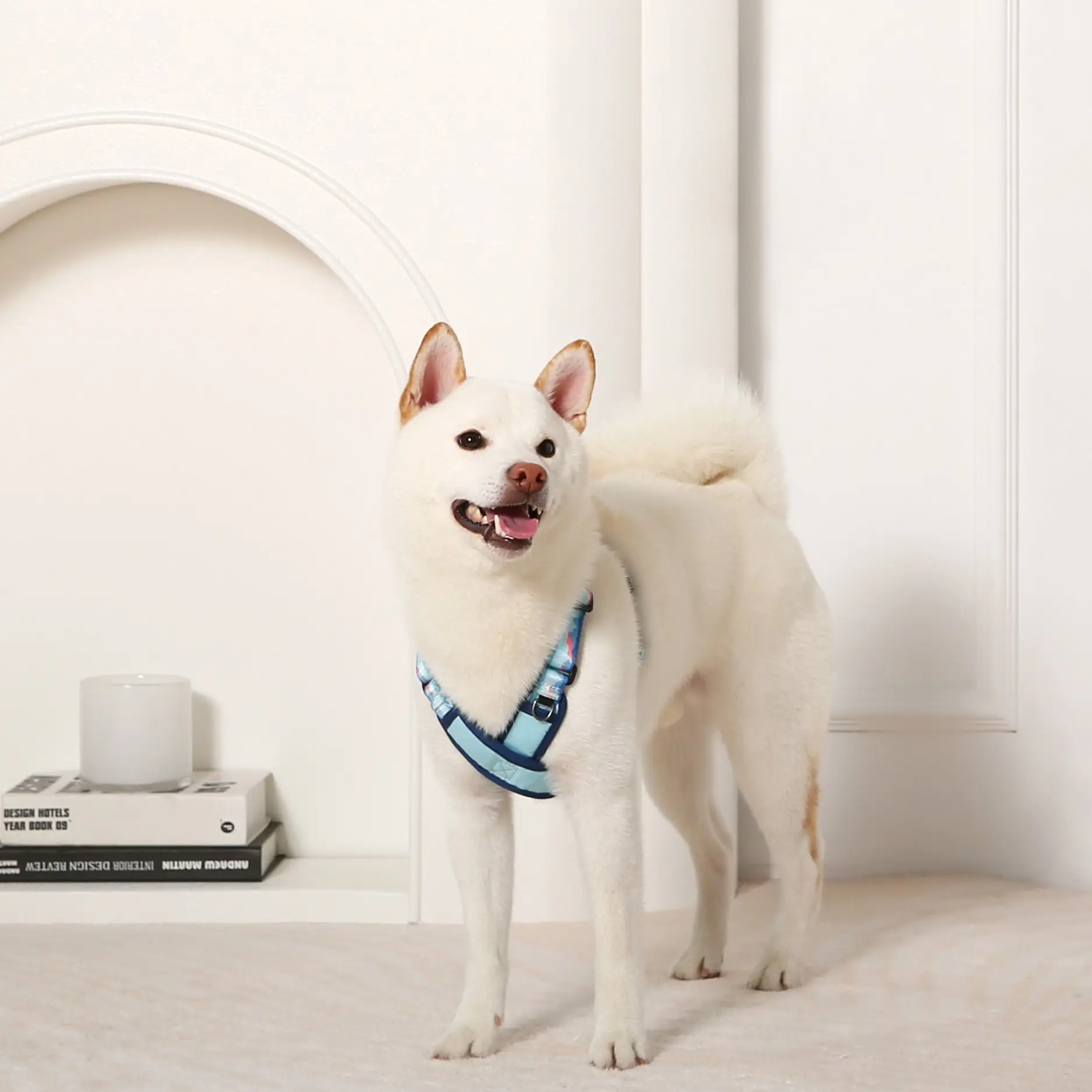 Truelove Pet Dog Harnesses Safe Adjustable Solutions