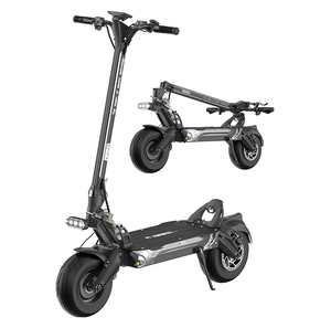 Trottinette électrique pour adultes ZSE2-B, double suspension, capacité tout-terrain. Moteur 2000W étanche. Conception pliable pour un rangement facile. - Product Image 1
