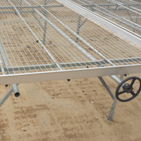 Bacs de semis à panneaux grillagés pour irrigation, galvanisés à chaud, pour pépinières, jardins de fleurs, culture de plantes personnalisable