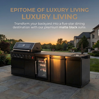 Évier de cuisine extérieur modulaire moderne de qualité supérieure, personnalisé, avec crédence, finition laquée noire écologique, charnière, grill BBQ
