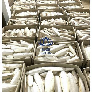 Best-seller Frozen Squid Maw pour le marché de gros - Product Image 1