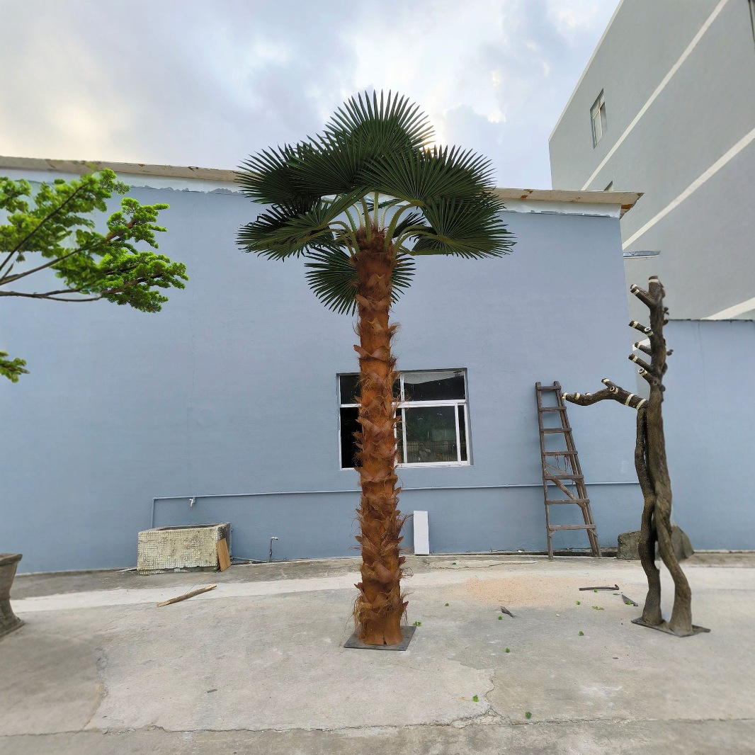 6m palm tree