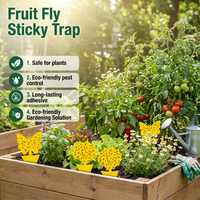 Piège à insectes en colle solide Super Fly, parfum de fruits, pour utilisation à la ferme, design attrayant, lutte antiparasitaire efficace et piège à insectes à haute efficacité