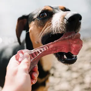 Tize 2023 en çok satan doğal kauçuk köpek oyuncak çiğnemek kemik yıkılmaz köpek oyuncak