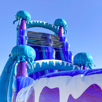 Toboggan aquatique gonflable commercial personnalisable pour l'extérieur, thème méduse, grand toboggan aquatique sec et humide, piscine détachable, pour enfants et adultes