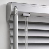 Stores en aluminium haute résistance de 25 mm pour l'ombrage intérieur des appartements, lames durables à ressort, stores de fenêtre