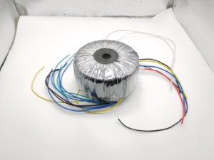 Usine 1000va 1200va <span class=keywords><strong>1400va</strong></span> transformateur toroïdal avec forme de bobine de bouclier magnétique pour mélangeurs audio et stéréo de musique - Product Image 2