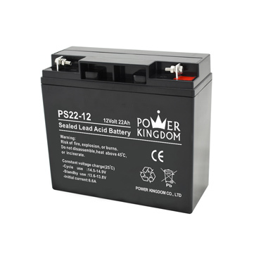 Sealed Lead Acid VRLA Battery 12V 22Ah for UPS/Lighting/Security/Electrical/Telecom/Transportation/Medical