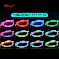 Kit de télécommande USB adressable Ws2812, décoration paysagère flexible, bande lumineuse LED néon RGB en PVC IP67
