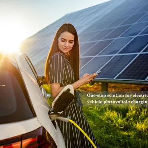 JUBILEEオフグリッドソーラーカーポートシステムPvシステム充電ステーション電気自動車の太陽光発電充電用のワンストップソリューション