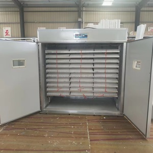 Incubadora de energía Solar 5280 de alta calidad, Incubadora de huevos completamente automática con convertidor de batería de Panel Solar para <span class=keywords><strong>pollo</strong></span>, avestruz - Product Image 2