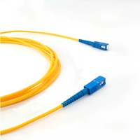 Cordon de brassage à fibre optique blindé extérieur Simplex 9/125 SM Swiftel SW-PC00231 SC/APC vers SC/APC pour FTTx