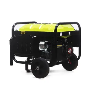 Bison Top Kwaliteit Super Quiet 3000/3600Rpm 7.0HP 110V 120V 220V 230V 240V 60Hz Draagbare Generator 4 Takt