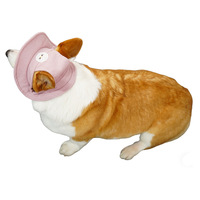 Chapeau de pêcheur respirant pour chien, protection solaire, été, pour chiens de petite et moyenne taille, Teddy, Corgi, Joker, rouge, coton-polyester, monochrome