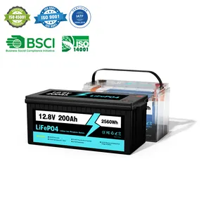 Customizable 48v 51.2v 50ah 100ah 200ah Rv Boat Marine House Portable Battery Replacement Box Solar Lithium Ion Lifepo4 Battery