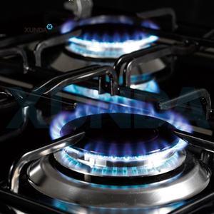 Xunda Precio Favorable <span class=keywords><strong>Gas</strong></span> Estufa eléctrica Quemador Eléctrico Integrado Multifuncional Hogar <span class=keywords><strong>Horno</strong></span> grande Cocina a <span class=keywords><strong>Gas</strong></span> Con <span class=keywords><strong>Horno</strong></span> - Product Image 5