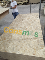 Panneaux OSB2 OSB3 en fibres orientées, épaisseur personnalisée 1220*2440MM, fournis directement par l'usine