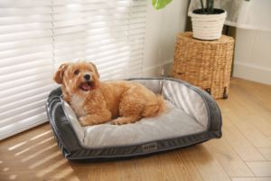 Cama de Pana para Mascotas al por Mayor, Cojín Duradero para Perros y Gatos, Funda Extraíble, Colchón Rectangular para Mascotas - Product Image 2