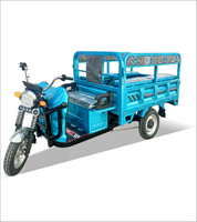 Camion à benne basculante électrique bon marché de déchargement automatique de tricycle de Tuktuk de cargaison populaire pour l'Asie Afrique Amérique du Sud usine directe à vendre