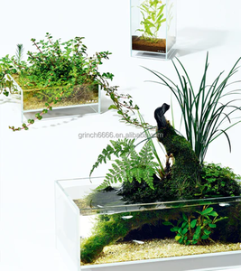 2023新製品アクアテラリウムタンクガラス空気の森水族館水生植物ポット成長キット - Product Image 4