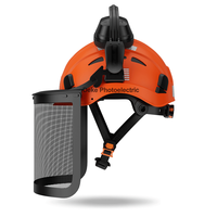 Casque de sécurité DEKE personnalisé avec protège-oreilles et visière, casque de protection pour tronçonneuse, personnalité