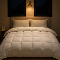 Couette en duvet de canard moelleux, garnie de plumes et de duvet, couette blanche pour lit, housse avec 8 languettes aux coins, insert de couette en duvet pour hôtel