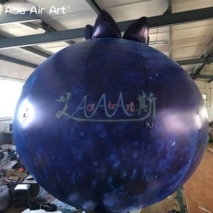 Globos Inflables Gigantes de Arándanos de 5 m, Modelos de Frutas Inflables para Publicidad de Apertura de Tiendas, Arándanos Inflables para Eventos - Product Image 4