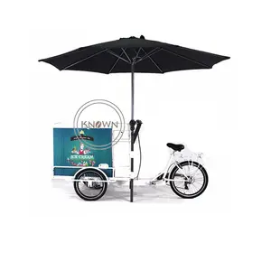 OEM Pedal Hỗ Trợ Điện Ba Bánh Với Tủ Đông Thực Phẩm Snack Bán Hàng Tự Động Giỏ Điện Ice Cream Bike