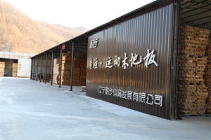 Suelos Deportivos de Madera Maciza de Alta Calidad con Excelente Resistencia al Desgaste, Baja Contracción y Expansión, y Buena Elasticidad - Product Image 6