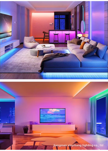 Tira de Luces LED RGB 110-220V 5050 60 LEDs/m IP65 Impermeable para Exteriores, Cambio de Color, Flexible, Sin Controlador, para Jardín - Product Image 5