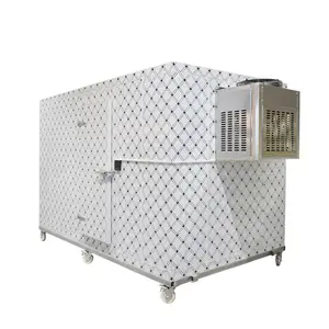 All In 1 Fruit And Vegetable Freezer Cold Room Walk In Freezer Storage Room