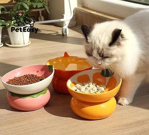 Nuevo estilo Popular en forma <span class=keywords><strong>de</strong></span> fruta, accesorios inclinados para mascotas <span class=keywords><strong>de</strong></span> pie alto, plato <span class=keywords><strong>de</strong></span> porcelana individual antivuelco, cuenco para perros y gatos <span class=keywords><strong>de</strong></span> lujo - Product Image 2