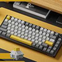 Clavier mécanique sans fil 2,4 G AK820 avec éclairage LED RVB filaire, 75 %