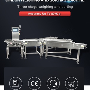 用于渔业水果行业的三级分选液晶触摸屏智能称重分选机 - Product Image 6
