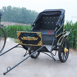 Exquisite 2-Wheel Carved Rickshaw Outdoor Travel Horse <b>Cart</b> and Wedding Carriage Top Sightseeing Carriage New Condition - Product Image 2
