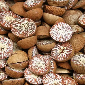 ZZH High Quality Factory Wholesale Price Arecanut Whole Dry Betel Nut Bulk Sun Dried Raw Areca Nuts