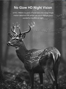 Trail Camera Cloud Service 4G Faune Chasse Surveillance Vision Nocturne IP66 Étanche Cellulaire Mobile 4K Caméra Sans Fil ZT31 - Product Image 4