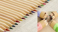 Étuis à crayons de couleur en bois motif OEM tube de papier artisanal couvercle transparent avec ensemble taille-crayon 3.5 pouces crayon de couleur promotionnel