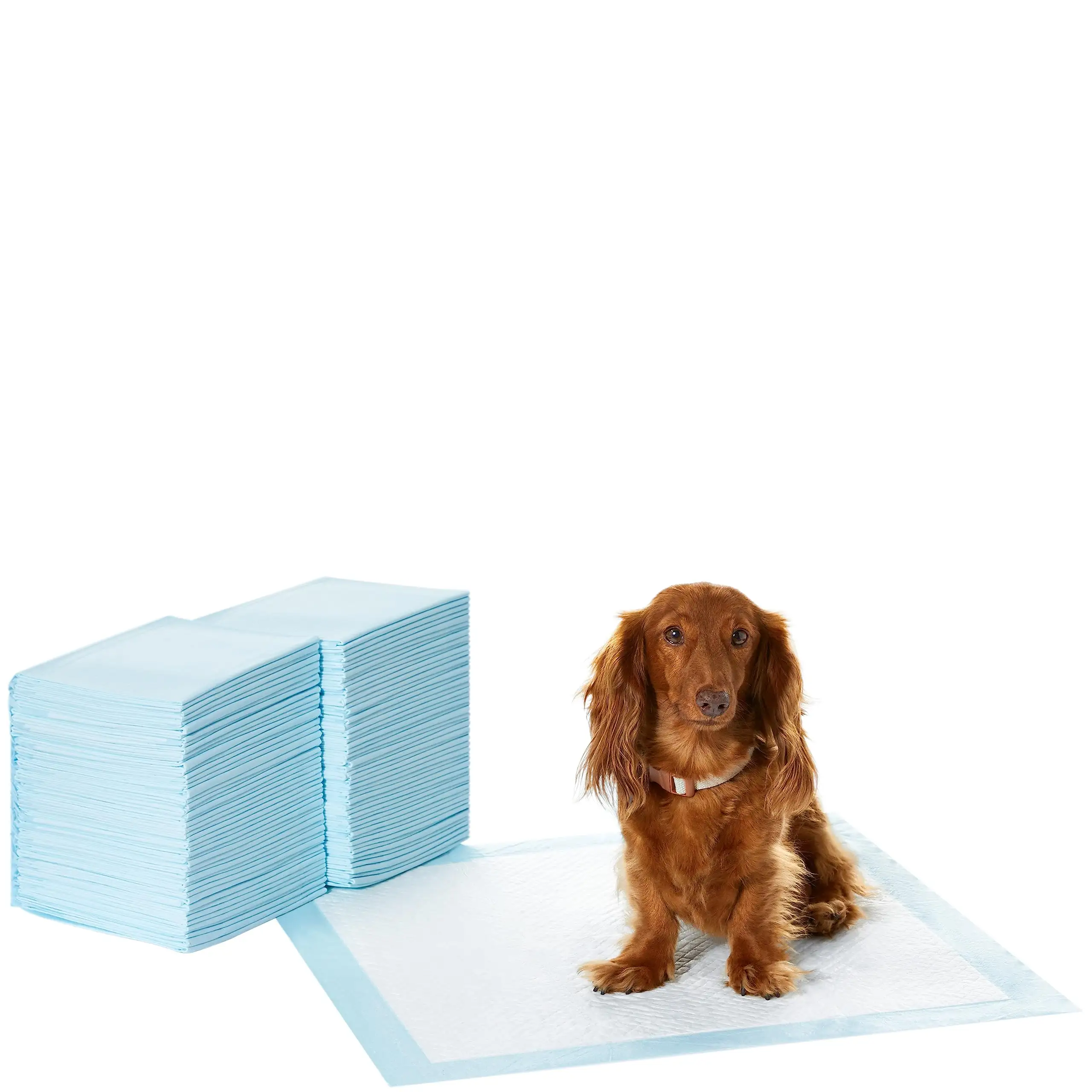 OEM Wholesale Cheap price Leak-Proof Quick-Dry Design Super Water Absorption pee pad disposable puppy dog pee training pet pad