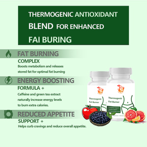 Premium High Weight Loss <b>Pills</b> for Appetite Suppressant Boost Energy Function Thermogenic Fat Burner Capsules with Green Tea - Product Image 3