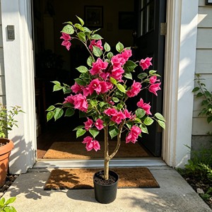 High Quality Real Touch Artificial Silk Bougainvillea Trees Durable Indoor Desktop <b>Plants</b> - Product Image 5