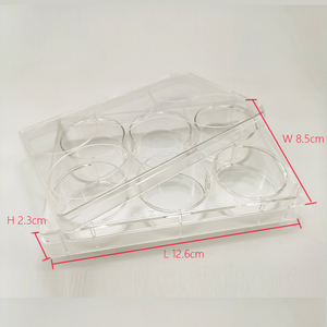 Bioland <span class=keywords><strong>6</strong></span> sumur dengan tutup paket individu permukaan Tc suguhan DNAse RNase Pyrogen bebas pelat budaya sel - Product Image 5