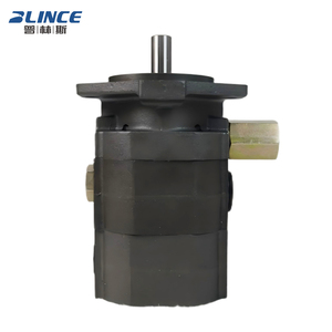Bomba hidráulica de engranajes Blince 16GPM para partir leña, bomba de aceite hidráulico para bosque, bomba hidráulica para troncos y tocones - Product Image 4