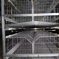 Équipement d'élevage de poulets en batterie entièrement automatique, galvanisé à chaud, pour grandes fermes avicoles modernes avec moins de main-d'œuvre