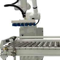 Robot Colaborativo para Paletización, Paletizador Automático con PLC, Robot de 6 Ejes de Acero Inoxidable, 5-6 Cajas/Min para Envasado de Alimentos