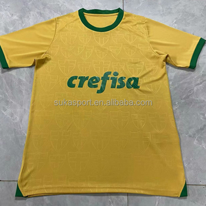 2024 palmeiras bóng đá Jersey mới Brazil Câu lạc bộ nhà đi đào tạo tùy chỉnh bóng đá Áo sơ mi Bộ dụng cụ - Product Image 2